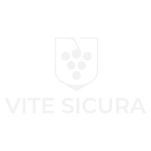 Vite Sicura