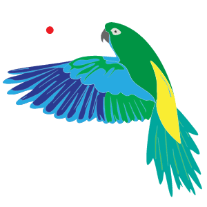 Biodex